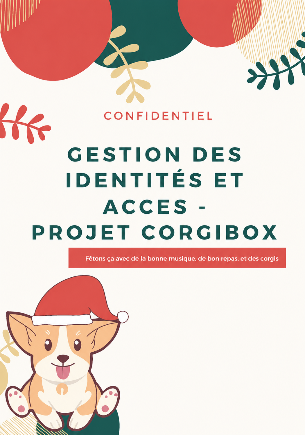 Exemple de rapport IAM produit lors du TP CorgiBOX